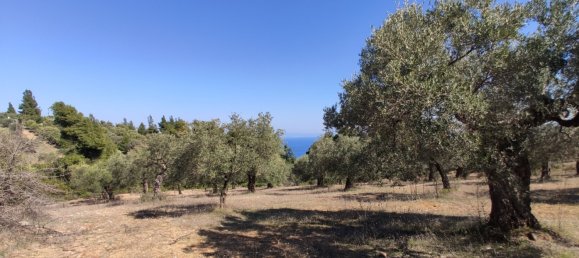 Hôtel à Chalkidiki, Greece 9000m² No. 3989 5