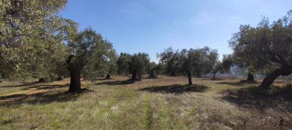 Hôtel à Chalkidiki, Greece 9000m² No. 3989 8