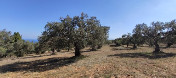 Hôtel à Chalkidiki, Greece 9000m² No. 3989 3