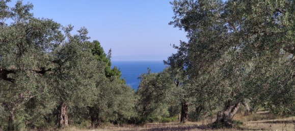 Hôtel à Chalkidiki, Greece 9000m² No. 3989 2