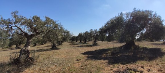 Hôtel à Chalkidiki, Greece 9000m² No. 3989 7