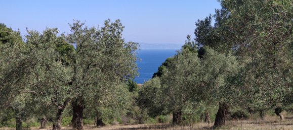 Hôtel à Chalkidiki, Greece 9000m² No. 3989 4