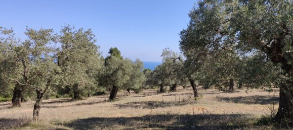 Hôtel à Chalkidiki, Greece 9000m² No. 3989 6