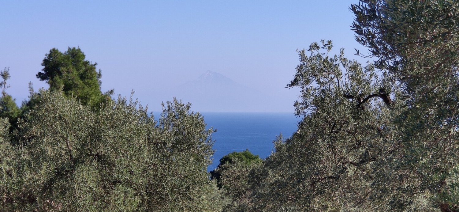 Hôtel à Chalkidiki, Greece 9000m² No. 3989