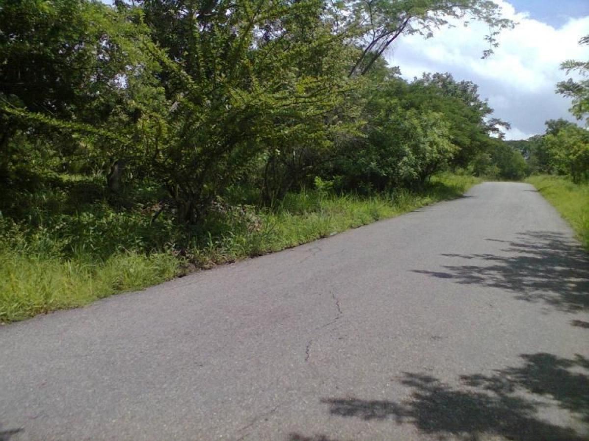  Land in Guadalajara de Buga, Colombia No. 97