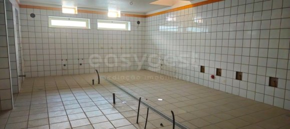 Коммерческая недвижимость 580м² в Феррагуду, Португалия № 138172 7