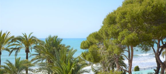 12 bedrooms Villa in Punta Prima, Spain No. 454 9