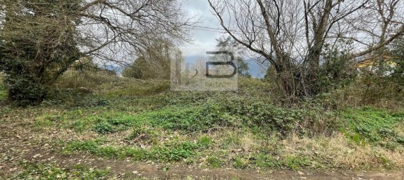 5 rooms House in Camaiore, Italy No. 112842 11