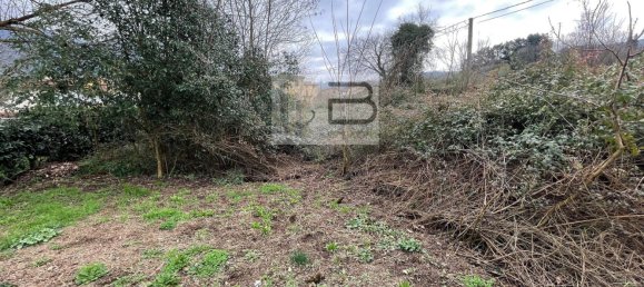 5 rooms House in Camaiore, Italy No. 112842 36