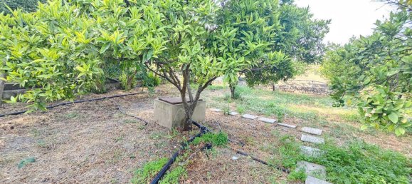 10 bedrooms House in Quarteira, Portugal No. 106561 48