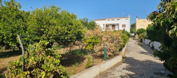 10 bedrooms House in Quarteira, Portugal No. 106561 44