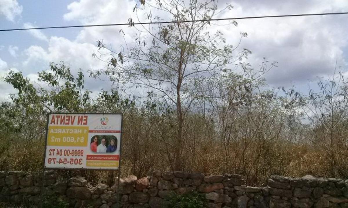 Grundstück in Merida, Mexico, Nr. 113765