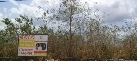 Grundstück in Merida, Mexico, Nr. 113765 2