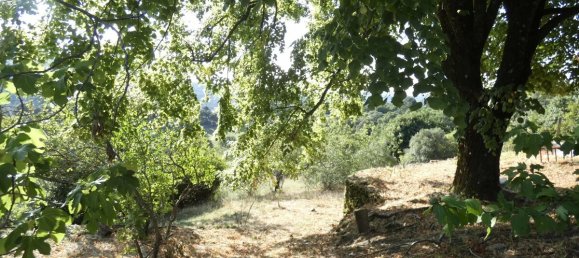 4 غرف نوم منزل في Gard, France رقم 326618 7