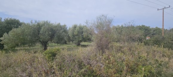  فندق في Chalkidiki, Greece 5100متر مربع رقم 53527 2