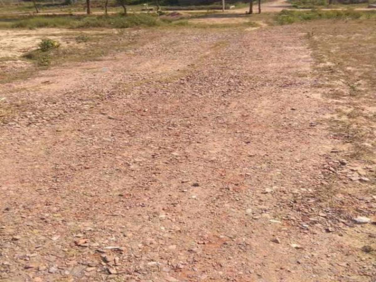  Land in Noida, India No. 65742