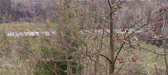 6000m² Land in Ceppaloni, Italy No. 303446 44