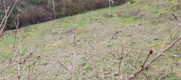 6000m² Land in Ceppaloni, Italy No. 303446 7