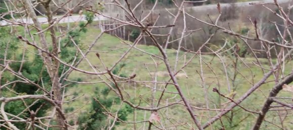 6000m² Land in Ceppaloni, Italy No. 303446 34