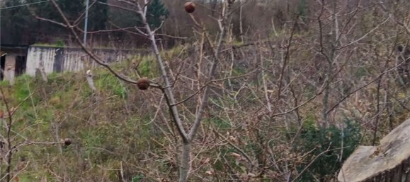 6000m² Land in Ceppaloni, Italy No. 303446 9