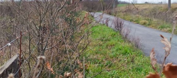 6000m² Land in Ceppaloni, Italy No. 303446 45