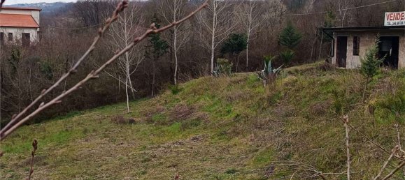 6000m² Land in Ceppaloni, Italy No. 303446 31