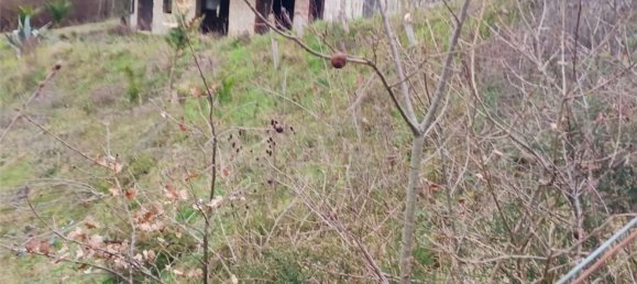 6000m² Land in Ceppaloni, Italy No. 303446 4