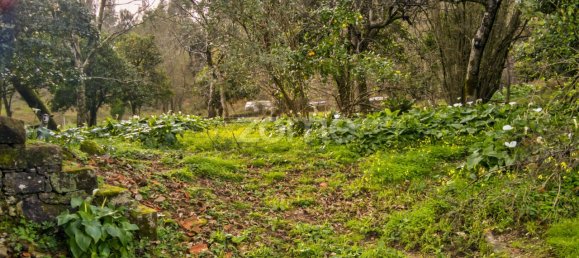 4 غرف نوم منزل في Vila Verde, Portugal رقم 15136 10