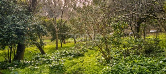 4 غرف نوم منزل في Vila Verde, Portugal رقم 15136 11