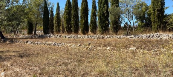 3 غرف نوم فيلا في Fayence, France رقم 349587 11