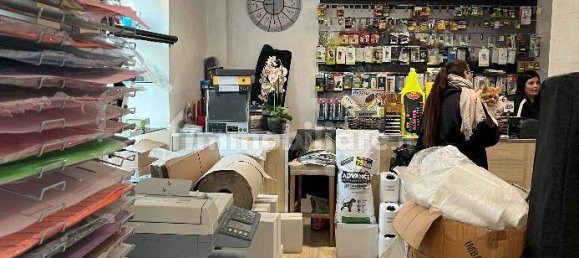 3 bedrooms Villa in Albano Laziale, Italy No. 199913 5