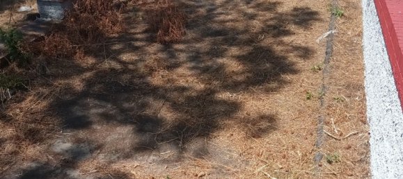 6غرفة فيلا في Nicolosi, Italy رقم 293262 23