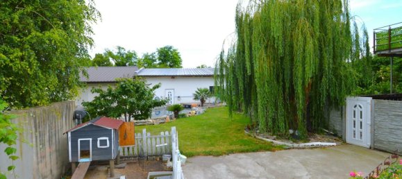  عقار تجاري في Podersdorf am See, Austria 631متر مربع رقم 137292 46