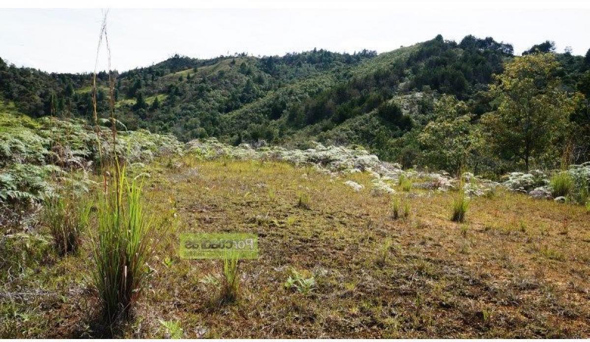  Land in Antioquia, Colombia No. 347