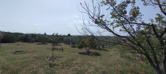 6 bedrooms Villa in Epanomi, Greece No. 2311 15