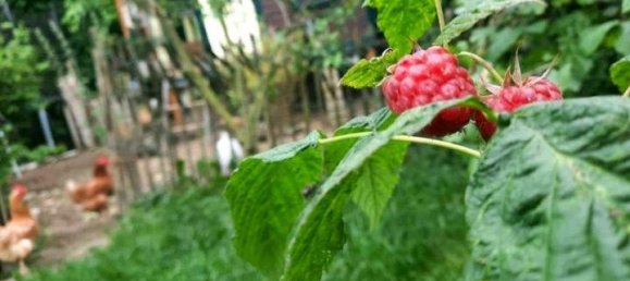 4 bedrooms Townhouse in Paderborn, Germany No. 219108 18