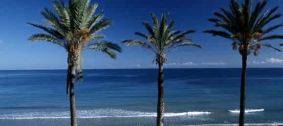 3 bedrooms Bungalow in Pilar de la Horadada, Spain No. 287531 9