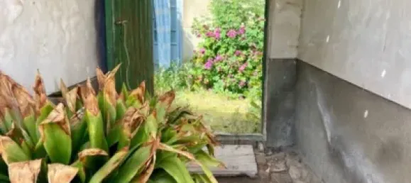 8 bedrooms House in Ciudad Real, Spain No. 163324 13