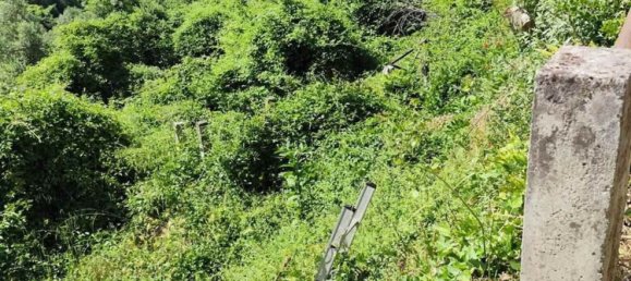 6 chambres Maison à Quarrata, Italy No. 345969 18