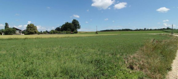  Land in Muhlheim am Inn, Austria No. 67647 2