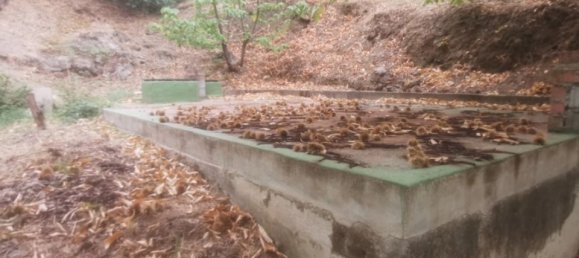 3 bedrooms House in Malaga, Spain No. 183895 6