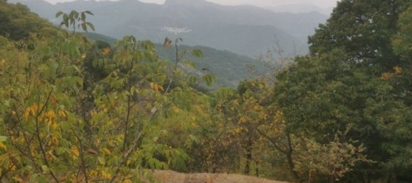 3 bedrooms House in Malaga, Spain No. 183895 3