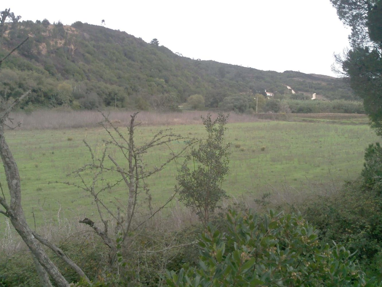  Land in Aljezur, Portugal No. 210075