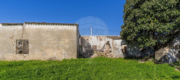 5 bedrooms House in Sao Bras de Alportel, Portugal No. 32518 8