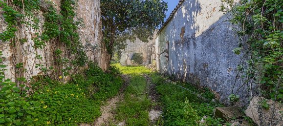 5 bedrooms House in Sao Bras de Alportel, Portugal No. 32518 6