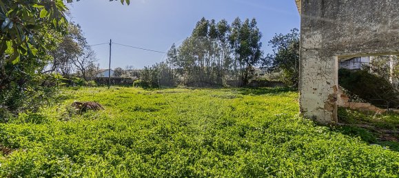 5 bedrooms House in Sao Bras de Alportel, Portugal No. 32518 7