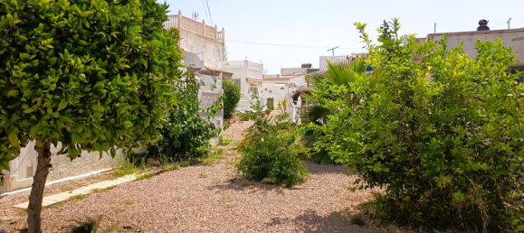 1 bedroom Bungalow for sale in Torrevieja, Alicante, Valencian Community, Spain № 370077 28