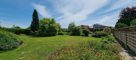 1 bedroom Bungalow in Markersdorf-Haindorf, Austria No. 236864 30