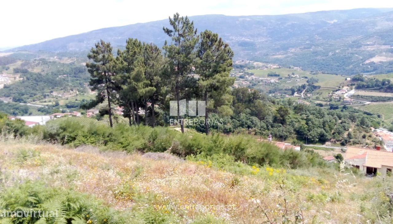 Terreno em Baião, Portugal 6000 m² N.º 55433