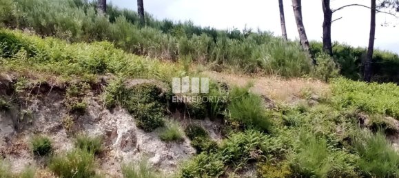 Terreno em Baião, Portugal 6000 m² N.º 55433 23